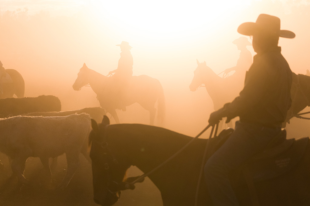 SEE Student Returns to His Dream Job in the Outback